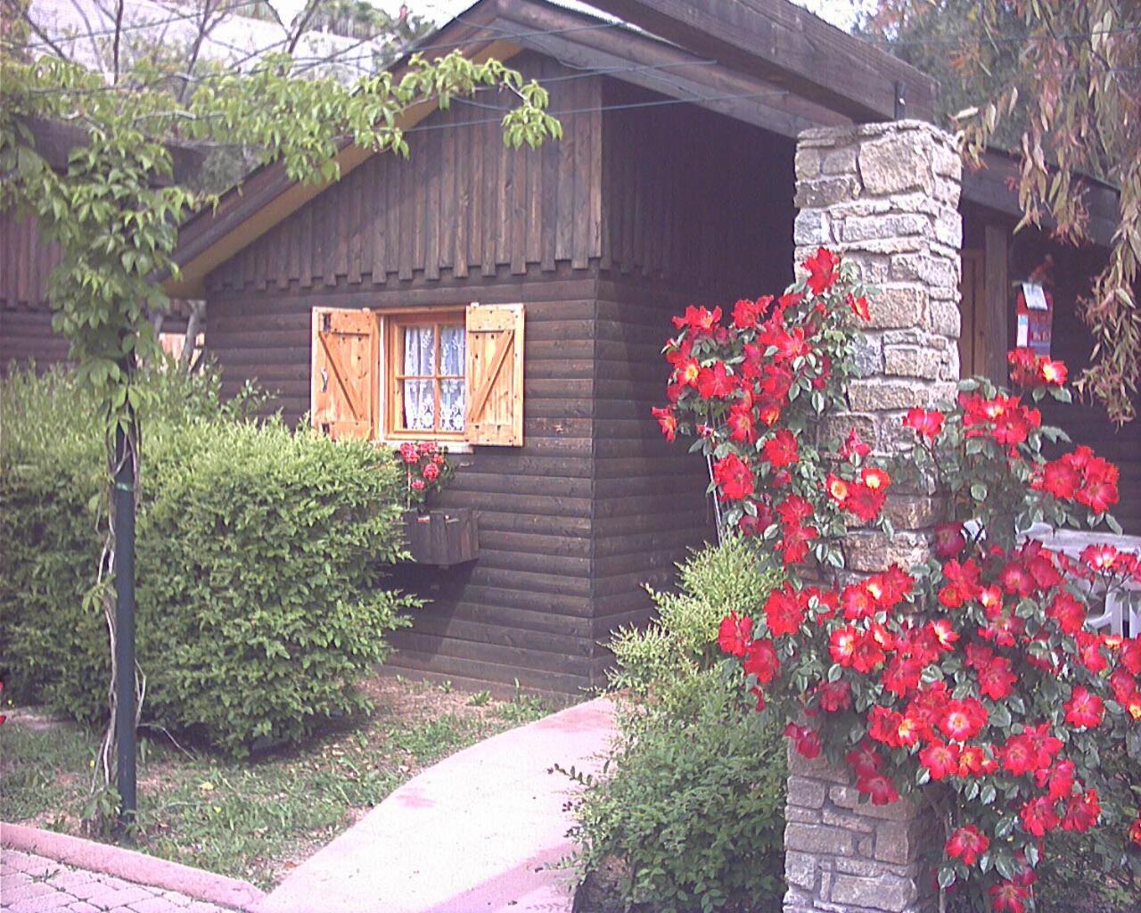 Caravelle Camping Village Ceriale Rum bild